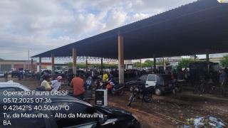 Fiscalização Juazeiro