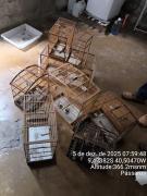 Fiscalização Juazeiro