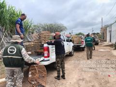 Fiscalização Juazeiro