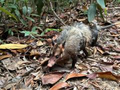 WhatsApp Image 2025-12-30 at 10.03.25 (1).jpeg