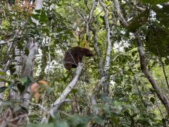 WhatsApp Image 2025-12-30 at 10.03.25 (2).jpeg