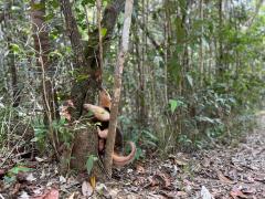 WhatsApp Image 2025-12-30 at 10.03.25 (3).jpeg