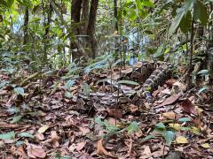 WhatsApp Image 2025-12-30 at 10.07.01.jpeg