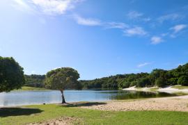 WhatsApp Image 2026-01-16 at 17.03.16.jpeg