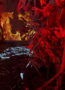 Projeto “Férias é no Zoo” oferece programação educativa e ambiental no fim das férias escolares