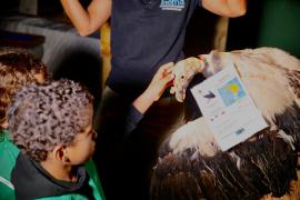 Zoo Noturno (15).jpg