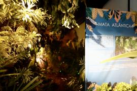 Sala Sensocial Zoo (10).jpg.jpeg