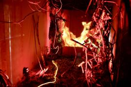 Sala Sensocial Zoo (33).jpg.jpeg