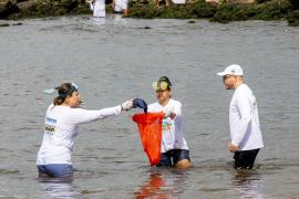 Ação da Sema e do Inema retira cerca de 250 kg de resíduos da praia do Rio Vermelho antes da Festa de Iemanjá