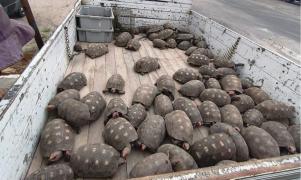 WhatsApp Image 2026-02-05 at 23.26.47.jpeg