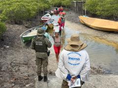 Inema intensifica ações no defeso do caranguejo-uçá e solta mais de 5,7 mil animais