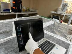 Jaguatirica resgatada com queimaduras de 3º grau passa por procedimento pré-soltura no Cetas de Pituaçu