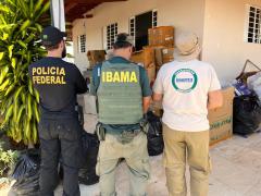 PF, Inema e IBAMA desarticulam ponto de beneficiamento ilegal de barbatanas de tubarão no norte da Bahia