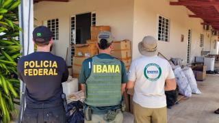 PF, Inema e IBAMA desarticulam ponto de beneficiamento ilegal de barbatanas de tubarão no norte da Bahia