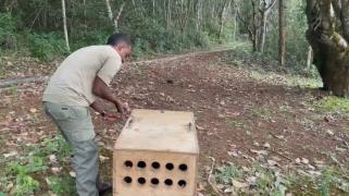 WhatsApp Image 2026-02-20 at 14.14.55.jpeg