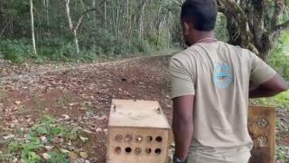 WhatsApp Image 2026-02-20 at 14.15.57.jpeg