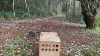 WhatsApp Image 2026-02-20 at 14.17.46.jpeg