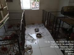 Operação PF conta com apoio do Inema (2).jpeg