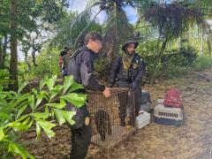 Operação PF conta com apoio do Inema (4).jpeg