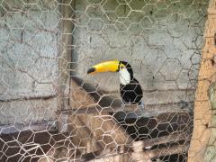 Operação PF conta com apoio do Inema (5).jpeg