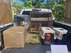 Operação PF conta com apoio do Inema (6).jpeg