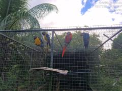 Operação PF conta com apoio do Inema (7).jpeg