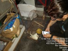 Operação PF conta com apoio do Inema.jpeg