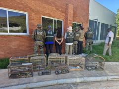 Operação Mata do Guará reforça combate a crimes ambientais no Oeste da Bahia