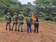 Operação Mata do Guará reforça combate a crimes ambientais no Oeste da Bahia