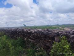 Operação Mata do Guará reforça combate a crimes ambientais no Oeste da Bahia