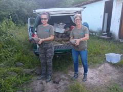 WhatsApp Image 2026-04-09 at 20.49.49 (1).jpeg