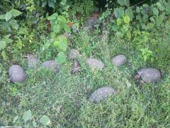 WhatsApp Image 2026-04-09 at 20.49.50.jpeg