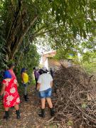 Inema promove ação de limpeza na foz do Rio Almada em Ilhéus, e reforça conservação de manguezal 