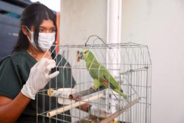 Inema integra fiscalização, conscientização e cuidado com animais silvestres na 53ª eta
