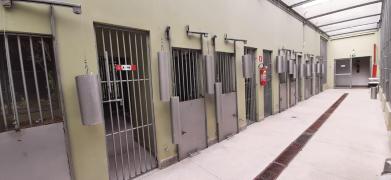 CETAS