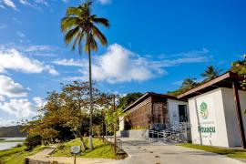 Pituaçu