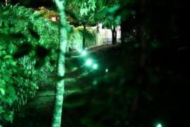 Matheus Lemos - iluminação do prédio Sisema (3).jpeg