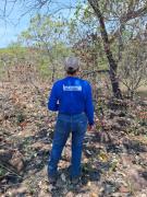 Ronda Verde inicia fiscalização em áreas atingidas por incêndios florestais na Chapada Diamantina