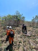 Ronda Verde inicia fiscalização em áreas atingidas por incêndios florestais na Chapada Diamantina