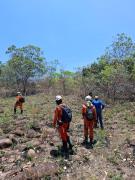 Ronda Verde inicia fiscalização em áreas atingidas por incêndios florestais na Chapada Diamantina