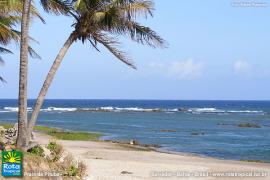 praia-da-pituba-salvador-bahia-1.jpg