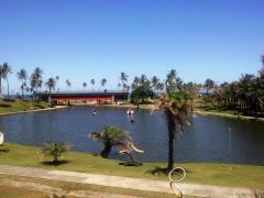 Blog Cidade Alta Verde