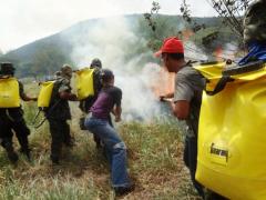 529033_261782850576124_230921083_n