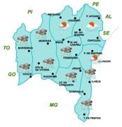 Mapas de Previsão por Regiões