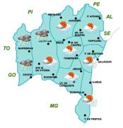 Mapas de Previsão por Regiões