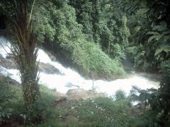 33392_Parque são bartolomeu 1