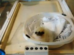 CYMERA_20140516_094336