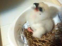 CYMERA_20140516_171932