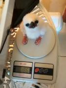 CYMERA_20140519_092622