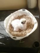 CYMERA_20140520_083003